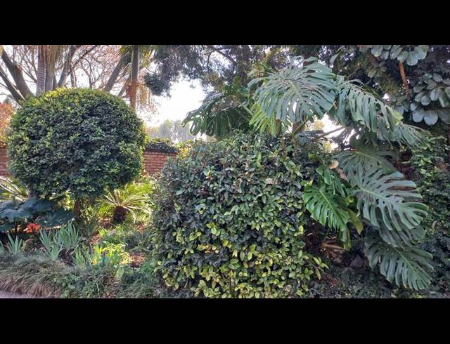 3 BEDROOM HOUSE FOR SALE IN DASPOORT